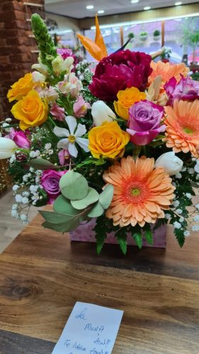 WhatsApp-Image-2025-07-25-at-11.10.12 333da8c8