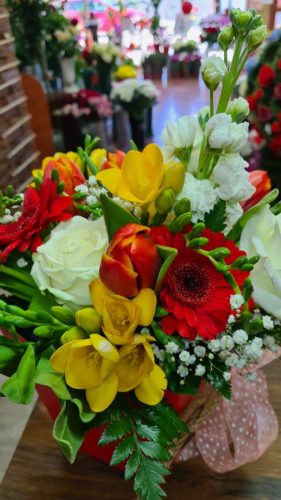 WhatsApp-Image-2025-07-25-at-11.10.12 6ff9f517