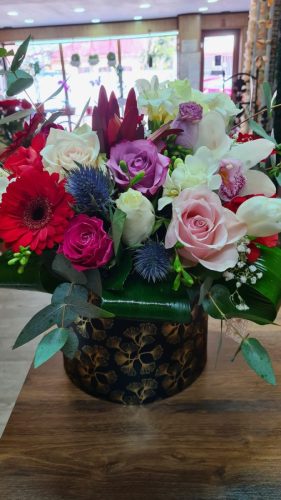 WhatsApp-Image-2025-07-25-at-11.10.13 a060ab14