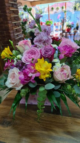 WhatsApp-Image-2025-07-25-at-11.10.13 c411f17f