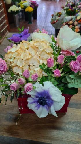 WhatsApp-Image-2025-07-25-at-11.10.13 e329bab2