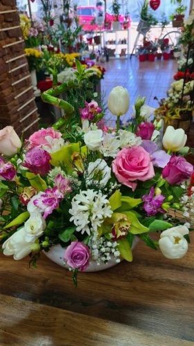 WhatsApp-Image-2025-07-25-at-11.10.14 a5be237b