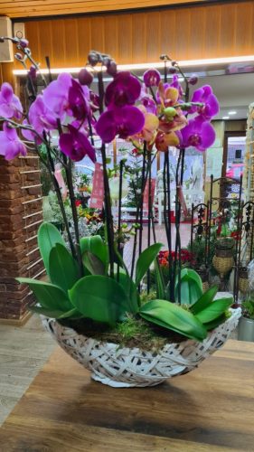 WhatsApp-Image-2025-07-25-at-11.10.15 be0d9df4