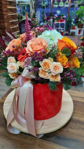 WhatsApp-Image-2025-07-25-at-11.10.15 ff083303