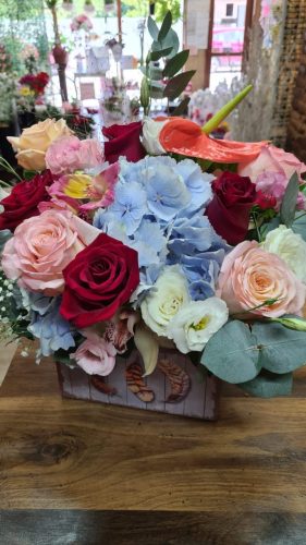 WhatsApp-Image-2025-07-25-at-11.10.17 80c82e3a