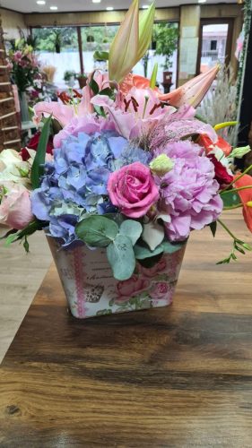 WhatsApp-Image-2025-07-25-at-11.10.18 c908ae7d