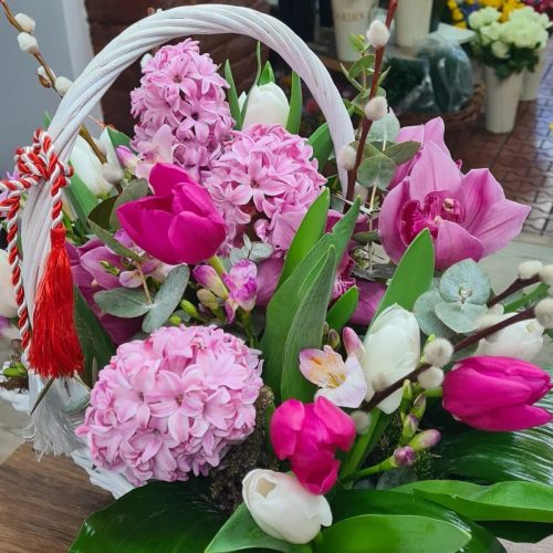 WhatsApp-Image-2025-07-25-at-11.24.54 d063ecc4